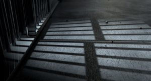 Bail Bonds Agent in Royal Palm Beach